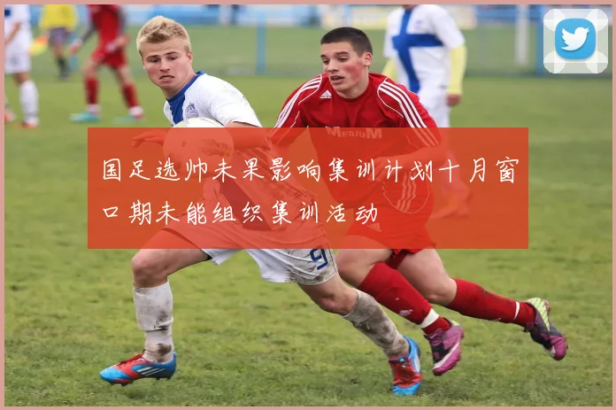 国足选帅未果影响集训计划十月窗口期未能组织集训活动