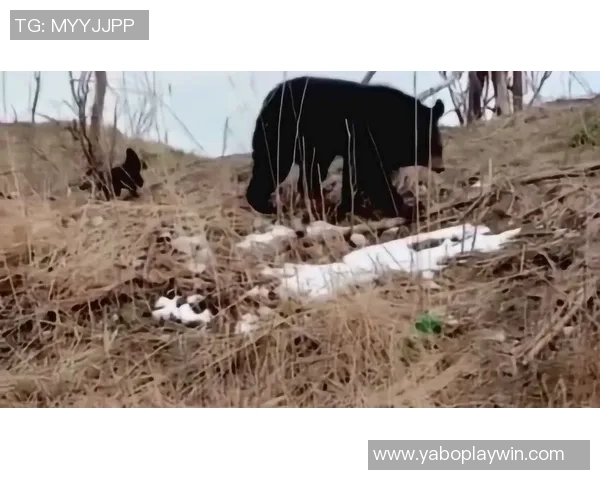 亚马尔母亲合照需先付800欧友人称其谦逊不喜张扬